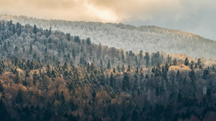 Beautiful winter mountain landscape. Forest in the rays of the setting sun. Bieszczady Mountains. Poland © Szymon Bartosz