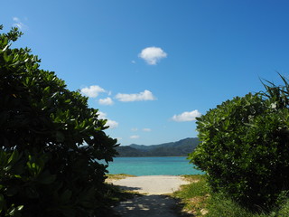 海に続く道、沖縄県小浜島