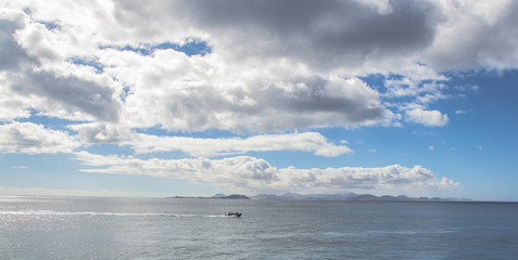 Canarie