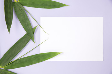 Bamboo Leaf with blank white card