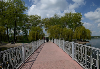 The island among the lake on which grow tall green trees against a blue sky with clouds