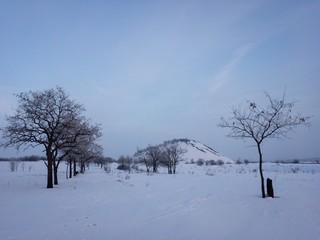 winter landscape with trees and snow