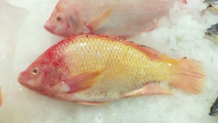 Obraz premium Ruby fish in home kitchen 