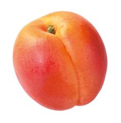 Ganze Aprikose