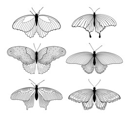 Vector set of decorated, stylized, isolated  outline butterflies in black color on white background. Illustration for design.