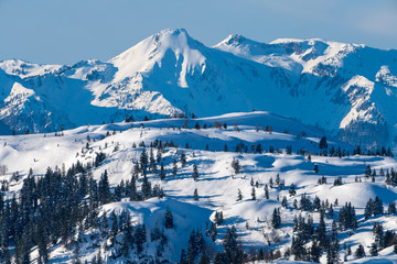 Winterlandschaft rund um die Steinplatte in Tirol