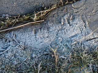 Frost on moss and distressed wood textured background