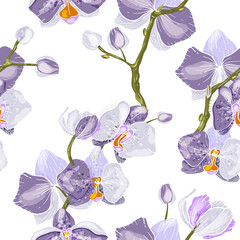 Vintage background. Wallpaper.  Hand drawn. Vector illustration. Paradise flowers. Realistic isolated seamless flower pattern.