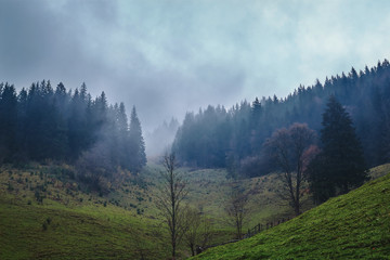 beautiful view of a foggy autumn mountain landscape with a cloudy sky