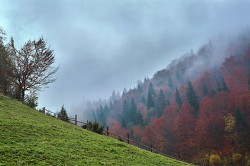 beautiful view of a foggy autumn mountain landscape with a cloudy sky