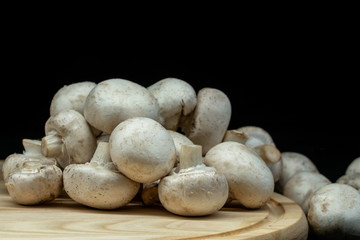 Fresh champignon mushrooms on a dark background