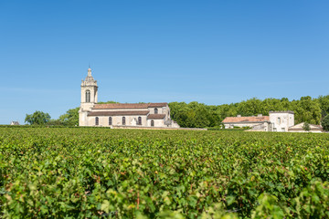 Fototapeta na wymiar Vignoble du Médoc (Bordeaux, France), village de Margaux
