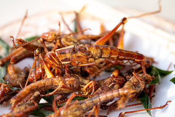 Fried grasshoppers.