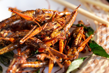 Fried grasshoppers.