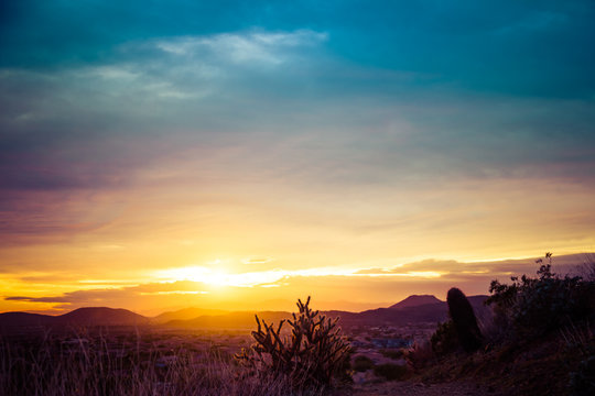 A beautiful image of a sunset over a desert with a cactus in the foreground and mountains in the distance.  The sky has warm golden colors on the horizon with cool blue tones in the clouds at the top 