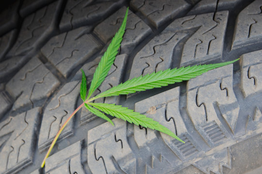 Cannabis Leaf On The Car Wheel