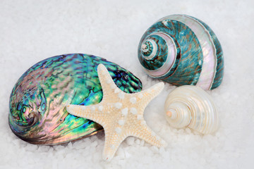 Mother of pearl seashells with starfish on course sea salt background.