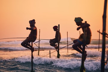 Traditional stilt fishing in Sri Lanka