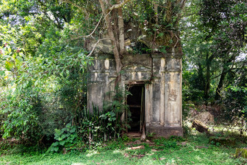 Abandoned cemetery. Covered by vegetation.