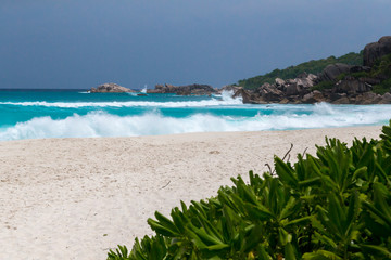 White sand beach and a seascape with waves some green plants and rocks