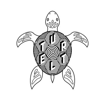 Black and white vector turtle coloring book