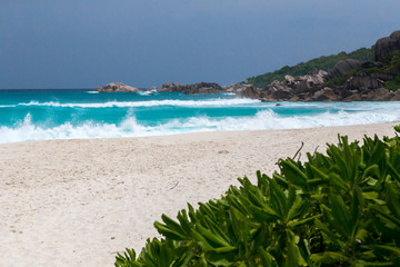 White sand beach and a seascape with waves some green plants and rocks