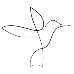 one line drawing bird