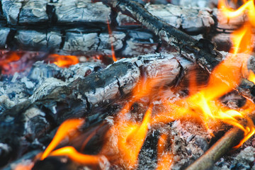 Fire and burned pieces of wood on the fire
