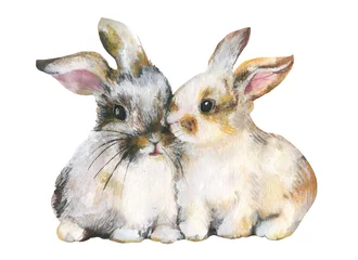 Fototapete Süße Hasen Kaninchen auf weißem Hintergrund. Schönes Paar. Gemischte Medien.