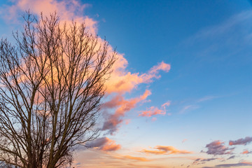 Fototapeta na wymiar Sunset over forest with dramatic sky