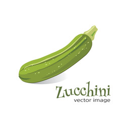 Zucchini vector image
Image of a zucchini with the word “Zucchini” isolated in white.