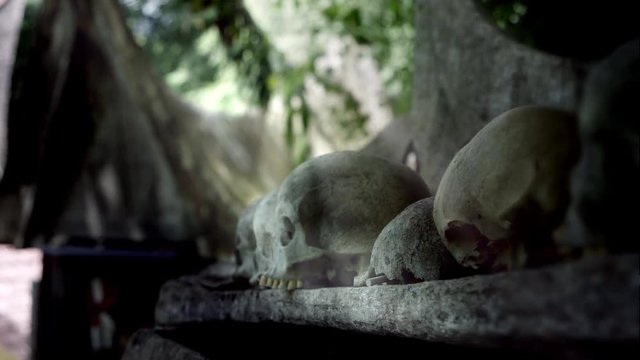 Toraja traditional burial ground. Coffins are situated in caves or hang on the cliff, Indonesia, May 2017