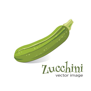 Zucchini vector image
Image of a zucchini with the word “Zucchini” isolated in white.