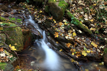 Fototapeta na wymiar Ruscello in autunno prealpi venete