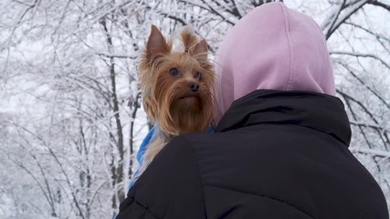 Woman stands with her back to camera with head covered a hood holding small yorkshire terrier wrapped in a blanket on hands. Teenager and a dog on a walk in a winter snow-covered park. Slow motion.