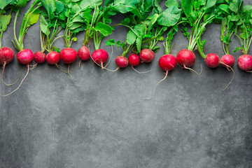 Top row of fresh raw organic red radishes with green leaves on dark concrete stone background. Vintage rustic style. Copy space for text. Vegan gardening balanced plant based diet