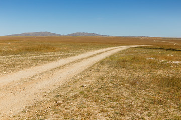 Fototapeta premium road in the Mongolian steppe, landscape, Gobi Desert Mongolia