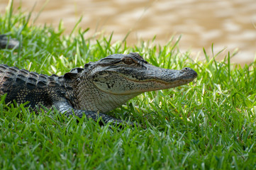 Smiling At You