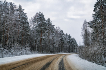 Obraz premium Beauty of winter