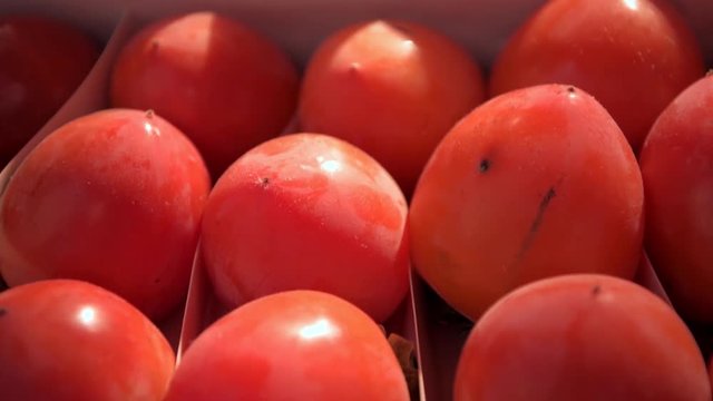 Close up of ripe persimmon fruit in row