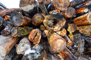 large pile of raw, old logs and firewood, background, texture