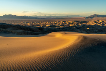 Wind blown ripples in a sand dune, Kelso Sand Dunes, Mojave National Preserve, California
