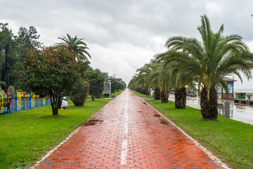 Obraz premium The beautiful seaside Park in the center of Batumi, rainy day