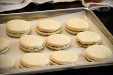 Vanilla macarons fresh out of the oven