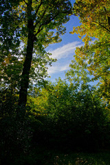 Im Favoritepark Ludwigsburg