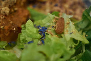 Vegan salad with flowers and nuts
