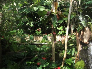Giardino con diverse varietà di piante