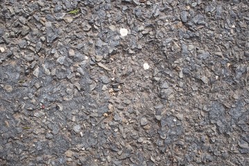 Texture #006