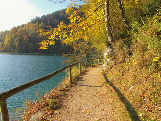 Fototapeta na wymiar Hiking trail at Lake Wolfgangsee, Austria