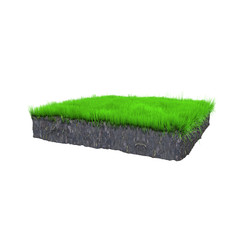 A piece of soil with green grass. White isolated background